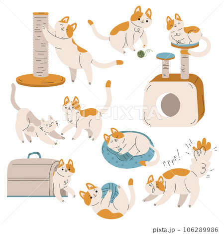 Funny Cat Domestic Pet with Pretty Snout Engaged in Different Activity Vector Set Funny Cat Domestic Pet with Pretty Snout Engaged in Different Activity Vector Set 106289986