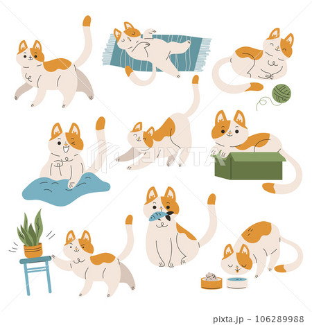 Funny Cat Domestic Pet with Pretty Snout Engaged in Different Activity Vector Set Funny Cat Domestic Pet with Pretty Snout Engaged in Different Activity Vector Set 106289988