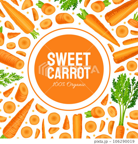 Bright Carrot Vegetable and Crop Banner Design Vector Template Bright Carrot Vegetable and Crop Banner Design Vector Template 106290019