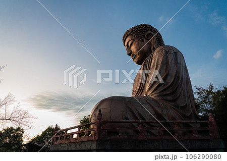 愛知県　東海市　聚楽園大仏 106290080
