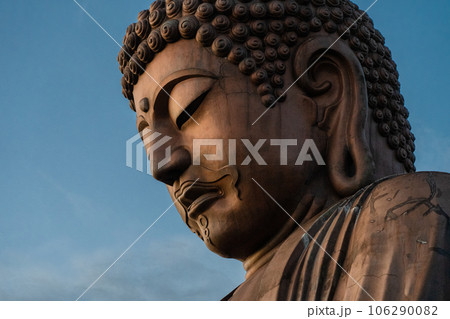 愛知県 東海市 聚楽園大仏 愛知県 東海市 聚楽園大仏 106290082
