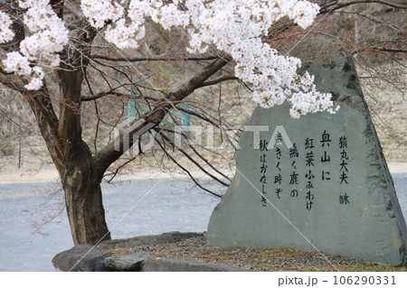 猿丸神社 猿丸神社 106290331