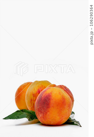 Peaches isolate. Juicy ripe peaches on a white background, vertical frame with copy space. Selective depth of field. With clipping path. 106290364
