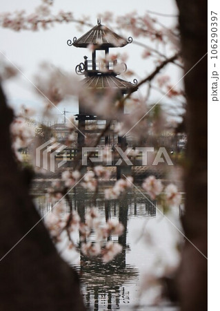 鍵・唐古遺跡の桜 106290397