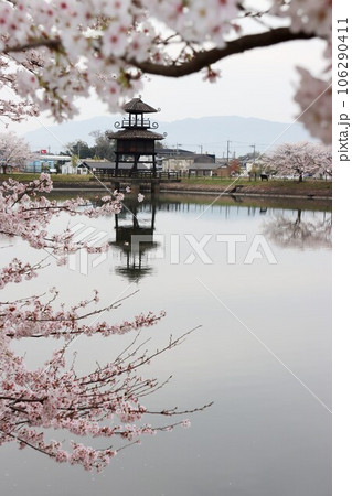 鍵・唐古遺跡の桜 106290411