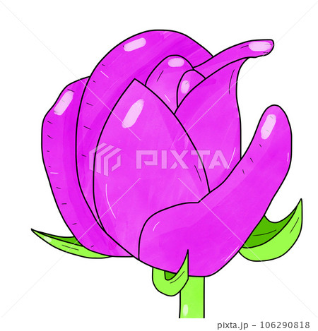 a sketch of a lotus 106290818
