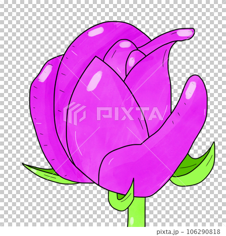 a sketch of a lotus 106290818