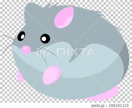 Campbell hamster 106291123