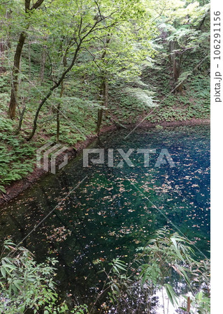 青森県深浦町の十二湖の青池 青森県深浦町の十二湖の青池 106291156