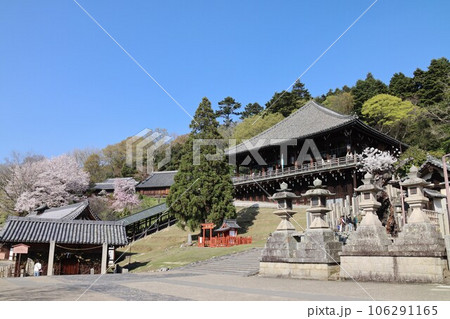 桜のある奈良の風景 桜のある奈良の風景 106291165