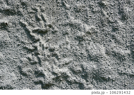 塗装のハガレと浮き・壁 106291432