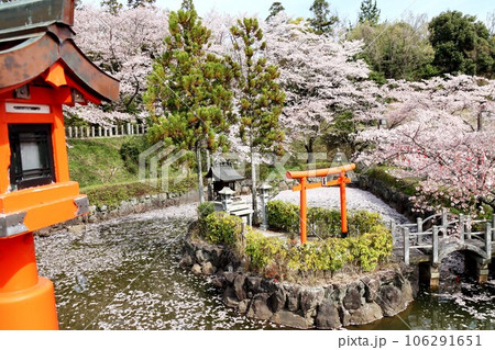 御嶽山大和本宮 106291651