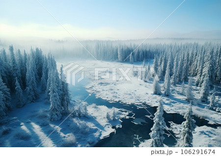 An aerial landscape of winter river in snowy forest 106291674