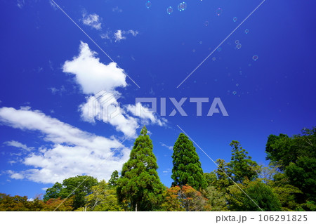 夏休み・紺碧の空に舞い上がるしゃぼん玉 106291825