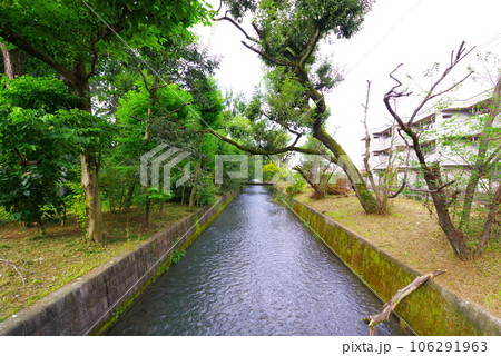 昭島市の美堀橋から望む玉川上水 昭島市の美堀橋から望む玉川上水 106291963