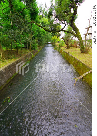 昭島市の美堀橋から望む玉川上水 106291966