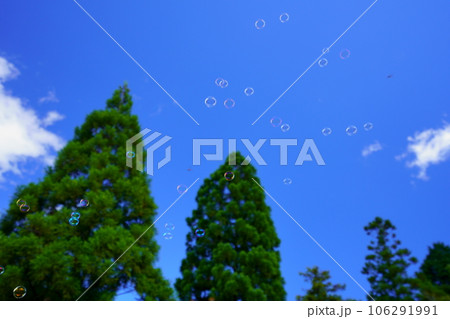 夏休み・紺碧の空に舞い上がるしゃぼん玉 106291991