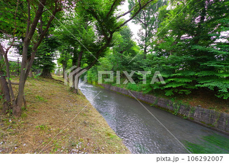 昭島市の美堀橋から望む玉川上水 106292007
