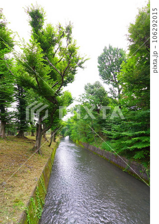 昭島市の美堀橋から望む玉川上水 106292015