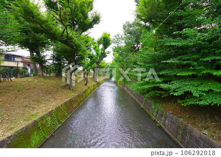 昭島市の美堀橋から望む玉川上水 昭島市の美堀橋から望む玉川上水 106292018