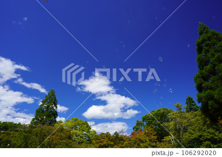 夏休み・紺碧の空に舞い上がるしゃぼん玉 106292020