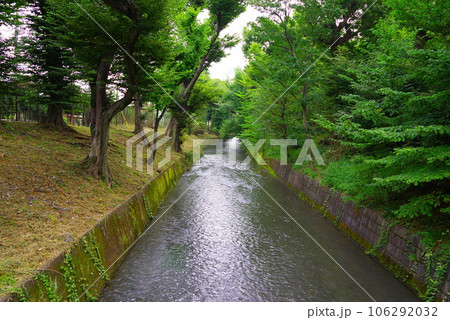 昭島市の美堀橋から望む玉川上水 昭島市の美堀橋から望む玉川上水 106292032