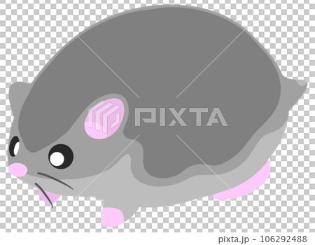 real black djungarian real black djungarian 106292488