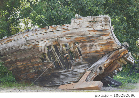 The rotten remains of an old wooden ship in Denmark The rotten remains of an old wooden ship in Denmark 106292696