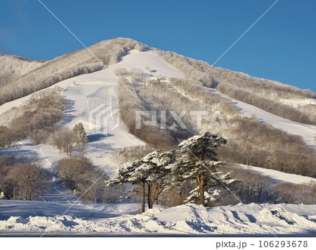 冬の斑尾高原スキー場 第7駐車場から斑尾山を臨む 冬の斑尾高原スキー場 第7駐車場から斑尾山を臨む 106293678