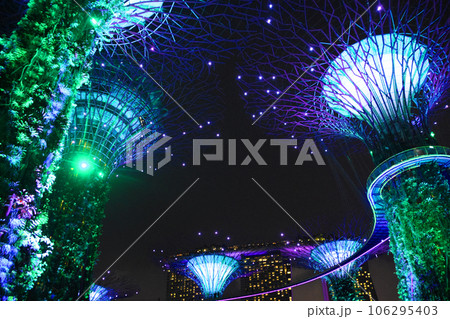 シンガポールのロマンティックなスーパーツリーグロウブ 106295403