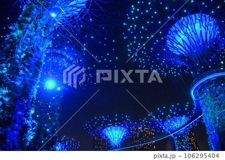 シンガポールのロマンティックなスーパーツリーグロウブ 106295404