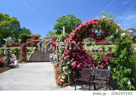 鹿児島県・かのやバラ園のハートベンチ 106295585