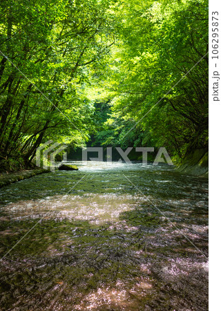 大分県宇佐市院内町の岳切渓谷 106295873