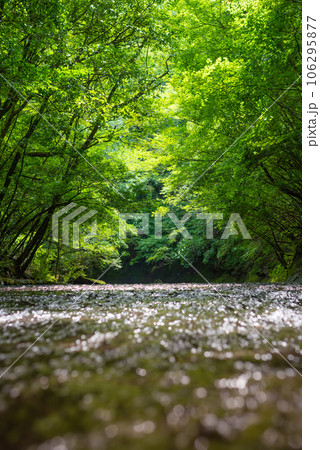 大分県宇佐市院内町の岳切渓谷 大分県宇佐市院内町の岳切渓谷 106295877