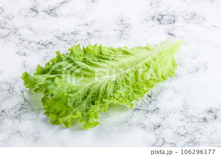 Ripe green salad lettuce leaf Ripe green salad lettuce leaf 106296177