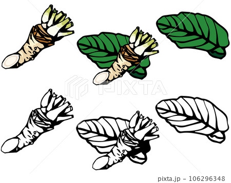 山わさびのイラストセット 106296348