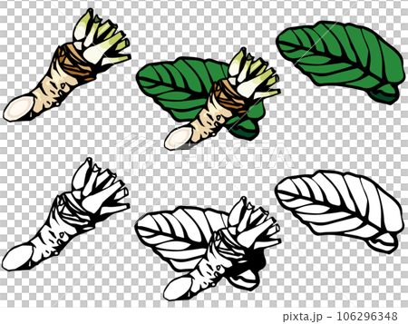 山わさびのイラストセット 106296348