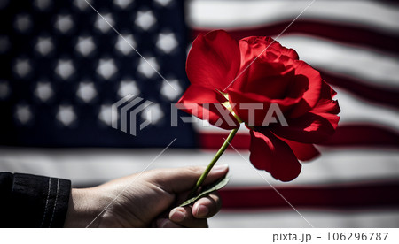 Red rose to symbolize the fallen and American veterans 106296787