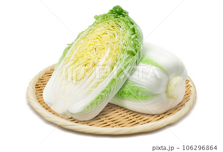 白菜のイラスト リアル  106296864