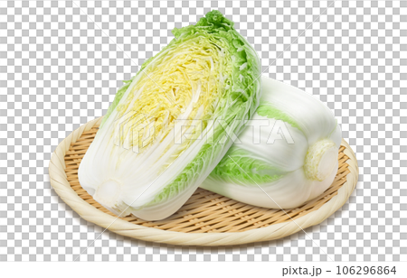 白菜のイラスト リアル  106296864