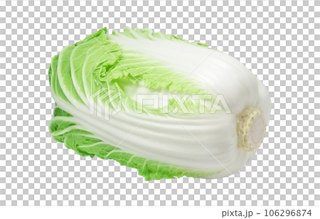 大白菜插畫真實 106296874