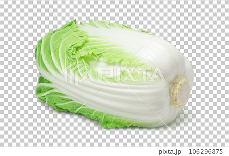 大白菜插畫真實 106296875