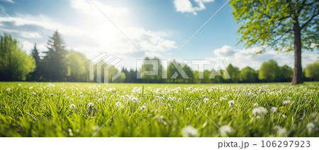 Blurred background of spring nature with a nicely trimmed lawn against a blue sky and clouds on a bright sunny day 106297923
