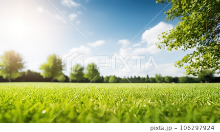Blurred background of spring nature with a nicely trimmed lawn against a blue sky and clouds on a bright sunny day Blurred background of spring nature with a nicely trimmed lawn against a blue sky and clouds on a bright sunny day 106297924