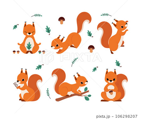 Cute Red Squirrel with Bushy Tail Vector Illustration Set Cute Red Squirrel with Bushy Tail Vector Illustration Set 106298207