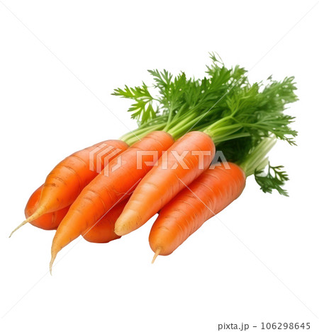 Ripe orange carrot isolated 106298645