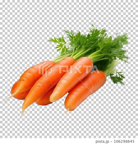 Ripe orange carrot isolated 106298645