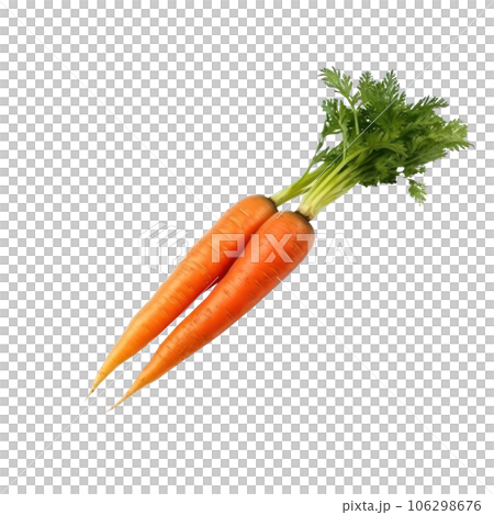 Ripe orange carrot isolated 106298676