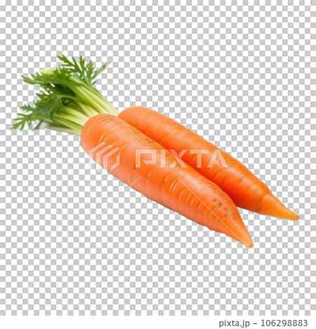 Ripe orange carrot isolated 106298883