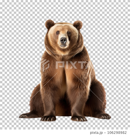 bear bear 106298982